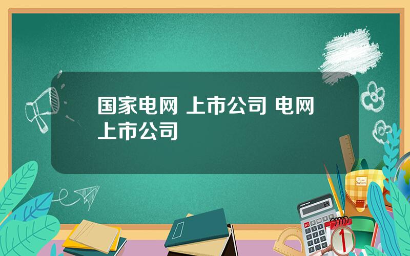 国家电网 上市公司 电网上市公司